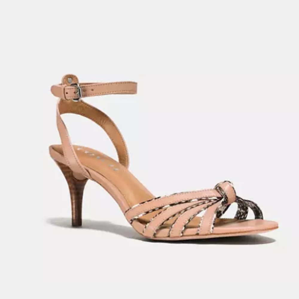 Coach Meg Heel with Snakeskin